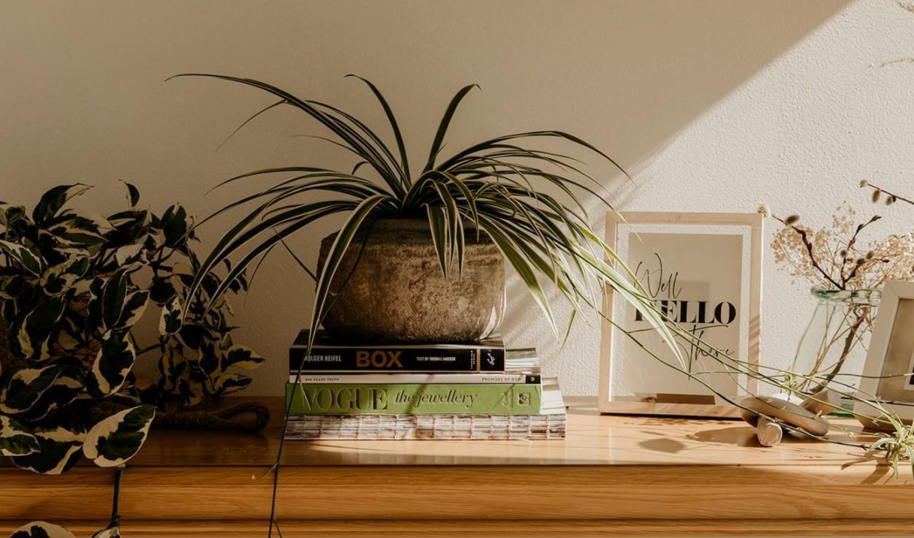 bureau top decorated with potted plants, books and framed pictures
